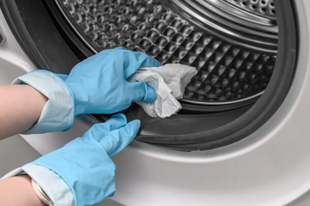 Cómo eliminar el mal olor de la lavadora: causas y métodos para prevenirlo